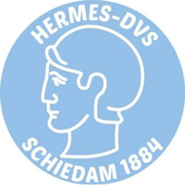 Hermes-D.V.S.